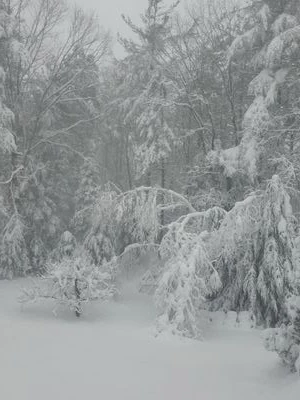 20230314_080623.jpg 20230314_080623.jpg