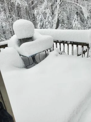 20230314_080316.jpg 20230314_080316.jpg