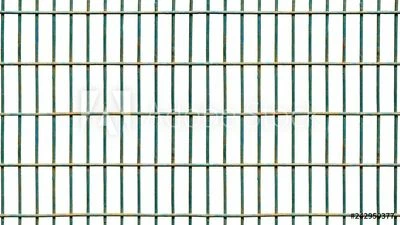 AdobeStock_242950377_Preview.jpeg