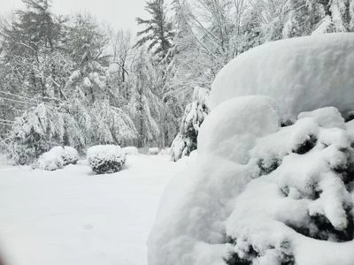 20230314_080206.jpg 20230314_080206.jpg