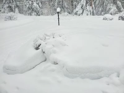 20230314_080212.jpg 20230314_080212.jpg