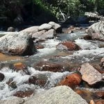 kjd-ptc.jpg kjd-ptc.jpg