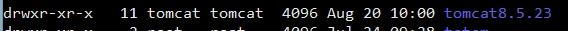 tomcat.png