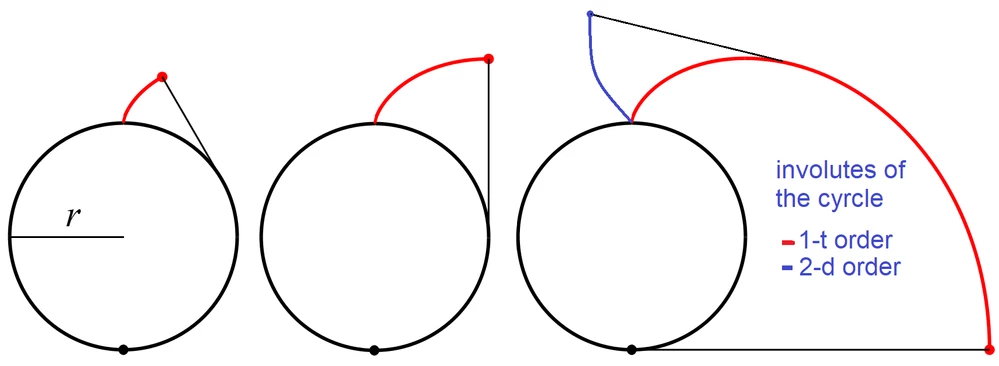 involutes.png