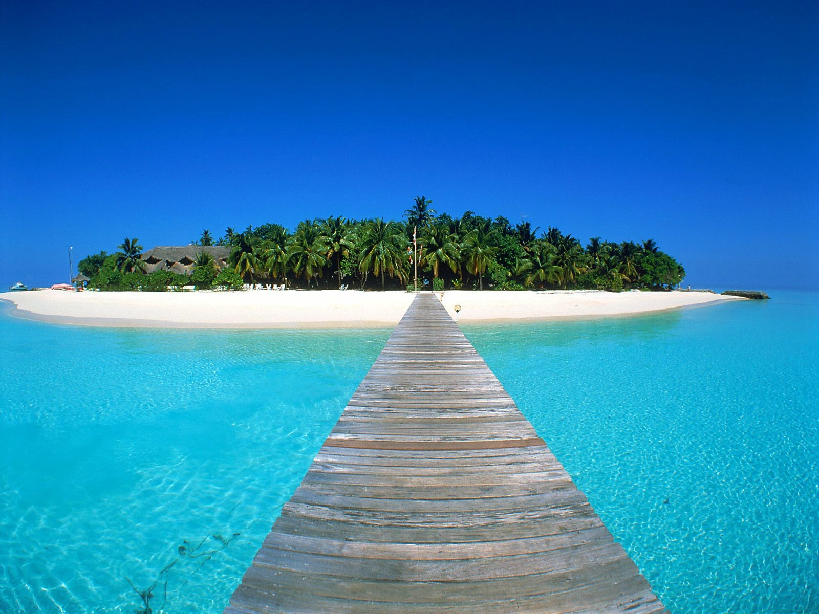 bahamabreeze
