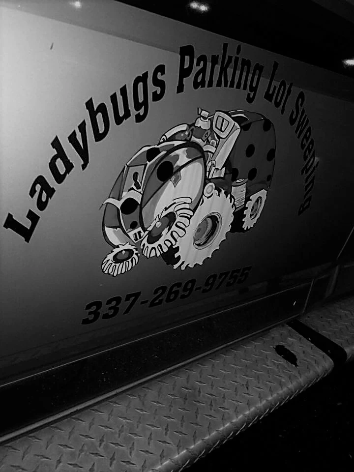 Ladybugs79