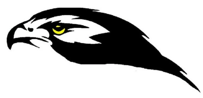HawkIntegrated