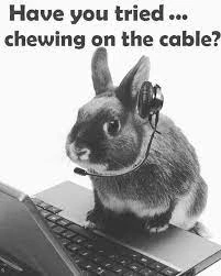 Payroll_Bunny