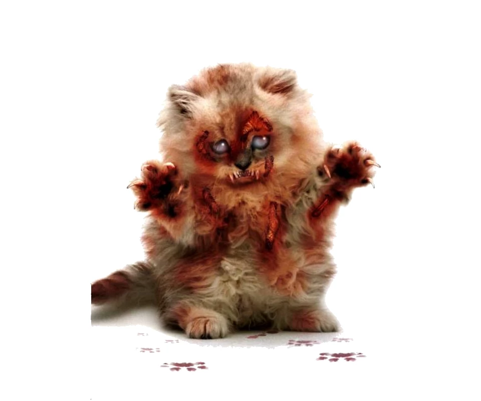 Zombie Cat