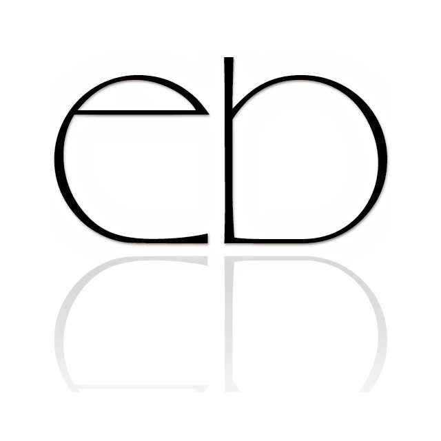 ebricks