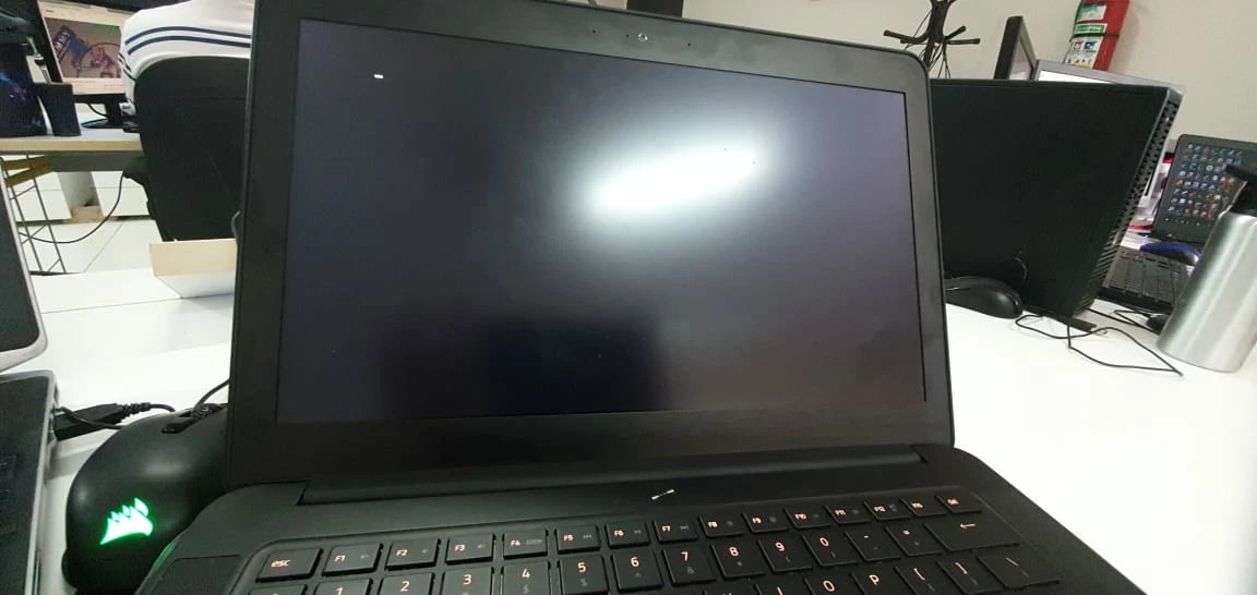 Razer Blade 14 late 2016 wont boot Razer Insider