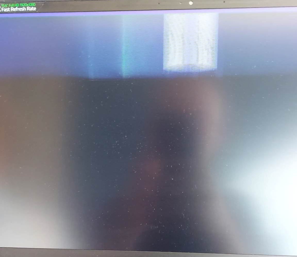 computer virus screen flickering