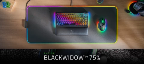 RAZER BLACKWIDOW V4 75% | Swap Out. Swap In. Game On.