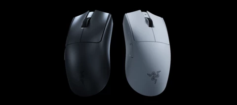 24 MARCH 2026 - [BETA] Synapse Web