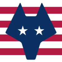Wolfox2838