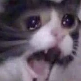 buzzImperialRedsigns863