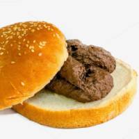 SH1TSANDWICH