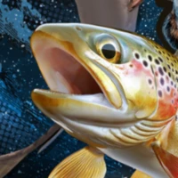 coolHarvestGoldtruck708