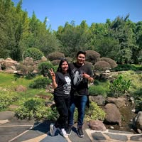 reviewPurplePlumgeo206
