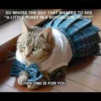 easystoryVividGamboge732