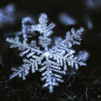 coolUltraRedcounty509