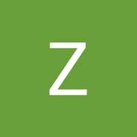 VividYellowfreshzone263