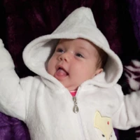 VividCeruleanvinegeo139