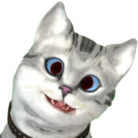 busDarkLavendergeo135