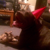 Duke_is_boss1213