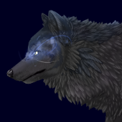 Mystic_The_Wolf