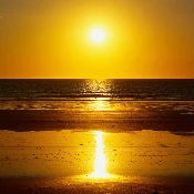 leetForestGreenWeb352