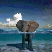 easyAPATITEBabyBlue908