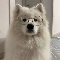 retroSteelTealtoday597