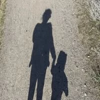 frontEucalyptusstreet865