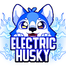 ElectricHusky