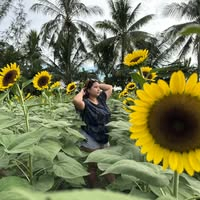 bytePacificBlueegg312