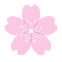 SanneSakura