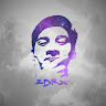 zdrx17