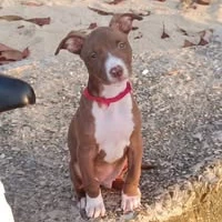 freshIcebergpoint163