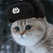 Soviet_cat._.