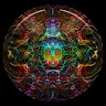 sleekLiverOrgandepot914