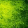 Amaranthfrontfun573