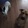 LurkyUrky_