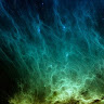BlueGepard