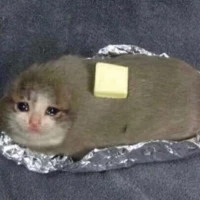I_dont_eat_cats