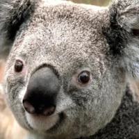 streetaeroBlueYonder983