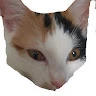 Coolakowski