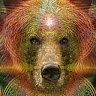 THExxBEAR