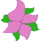 bicyclehitTurkishRose499