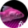 FiszPL